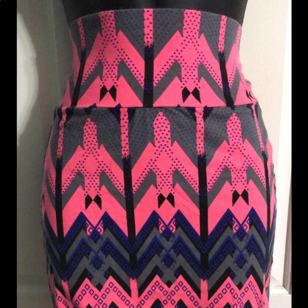 Charlotte Russe skirt